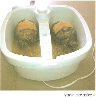 (בספר מפה, היעזרו במנחה)